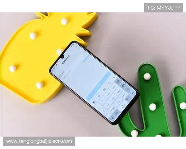 云顶手机版官网安全保障措施与账号安全指南，确保玩家个人信息与游戏资产安全无忧