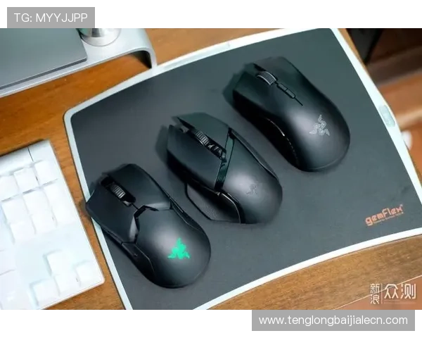 云顶集团官网下载电脑版操作指南，详细步骤让新手也能轻松上手体验