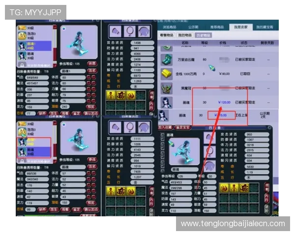 万利真人排行游戏中如何合理安排时间提升排名效率