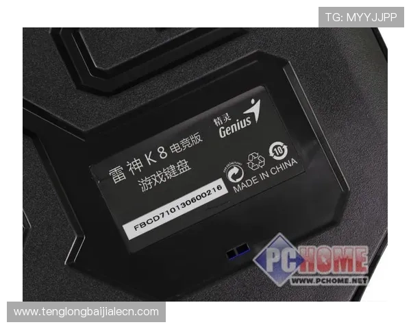 K8电竞真人平台全面解析最新赛事资讯与玩家互动体验指南