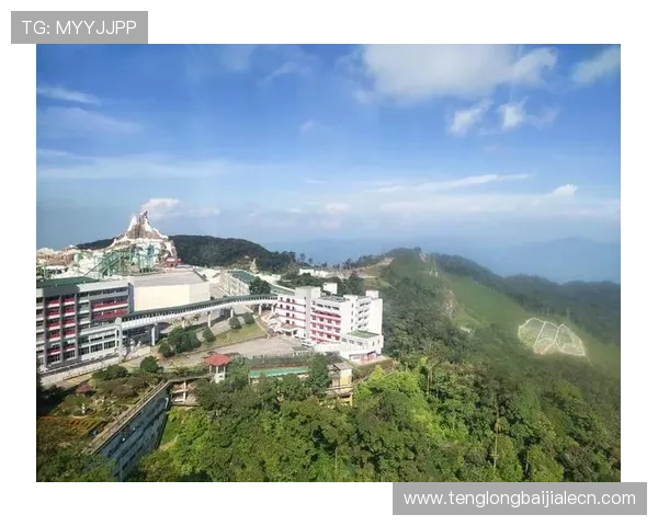 马来西亚云顶国际：全面解析其发展历程与未来趋势